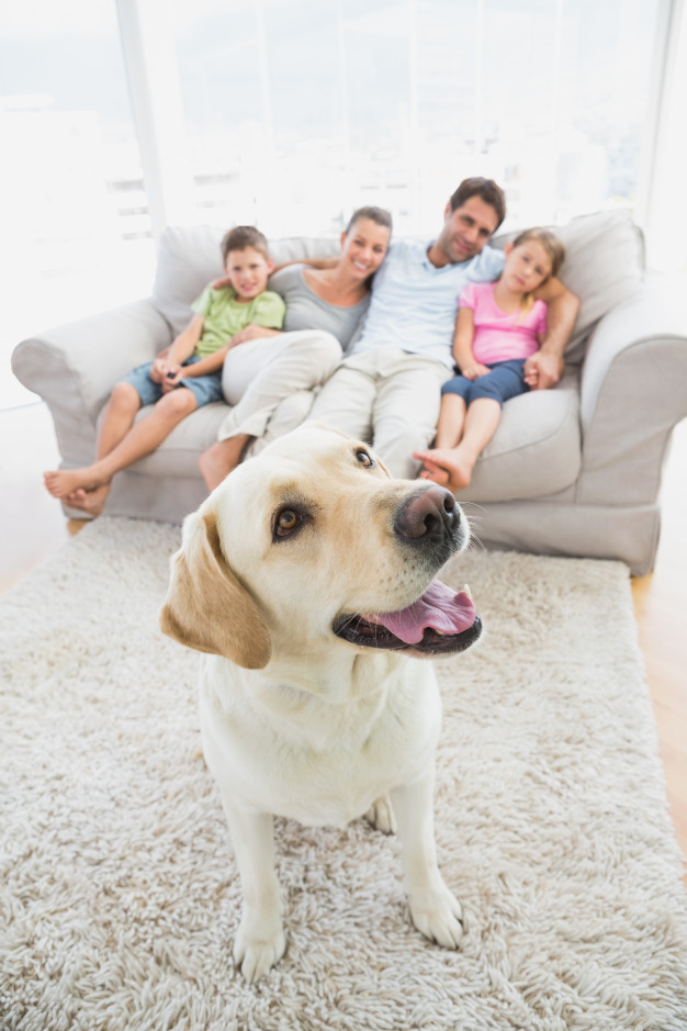 Как снять квартиру семье с детьми и животными: полезные советы